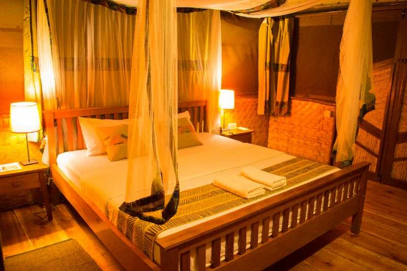 Bush Lodge Room