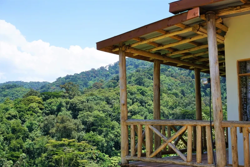 Rushaga Gorilla Camp View