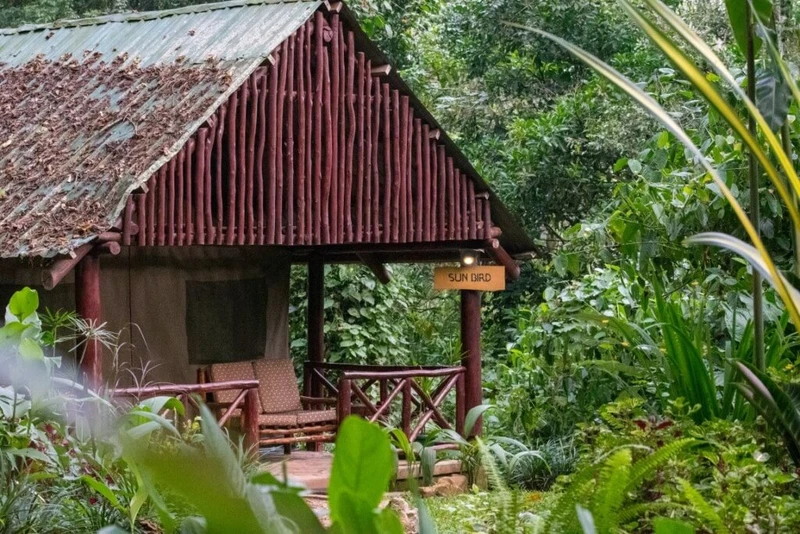 Kibale Forest Camp Tent