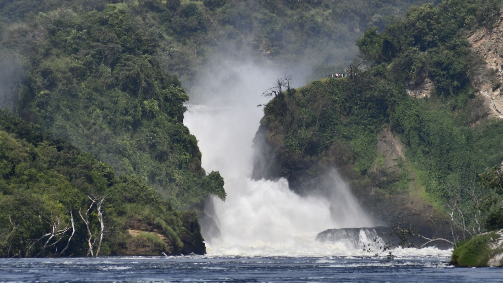9 day gorilla trekking and chimps wildlife safari