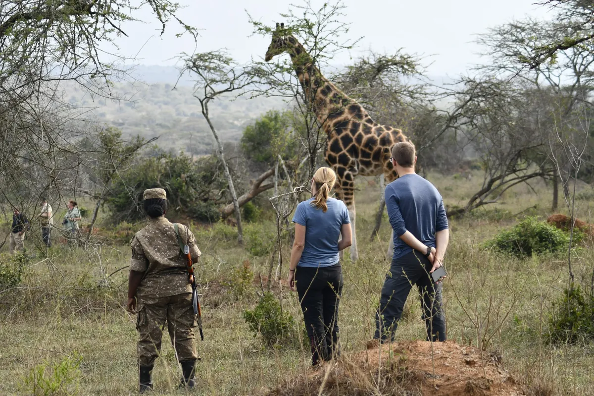 Walking safari